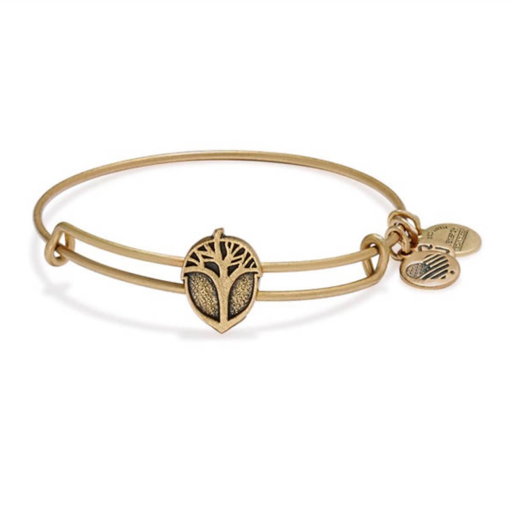 ALEX AND ANI
Unexpected Miracles Slider Charm Bangle